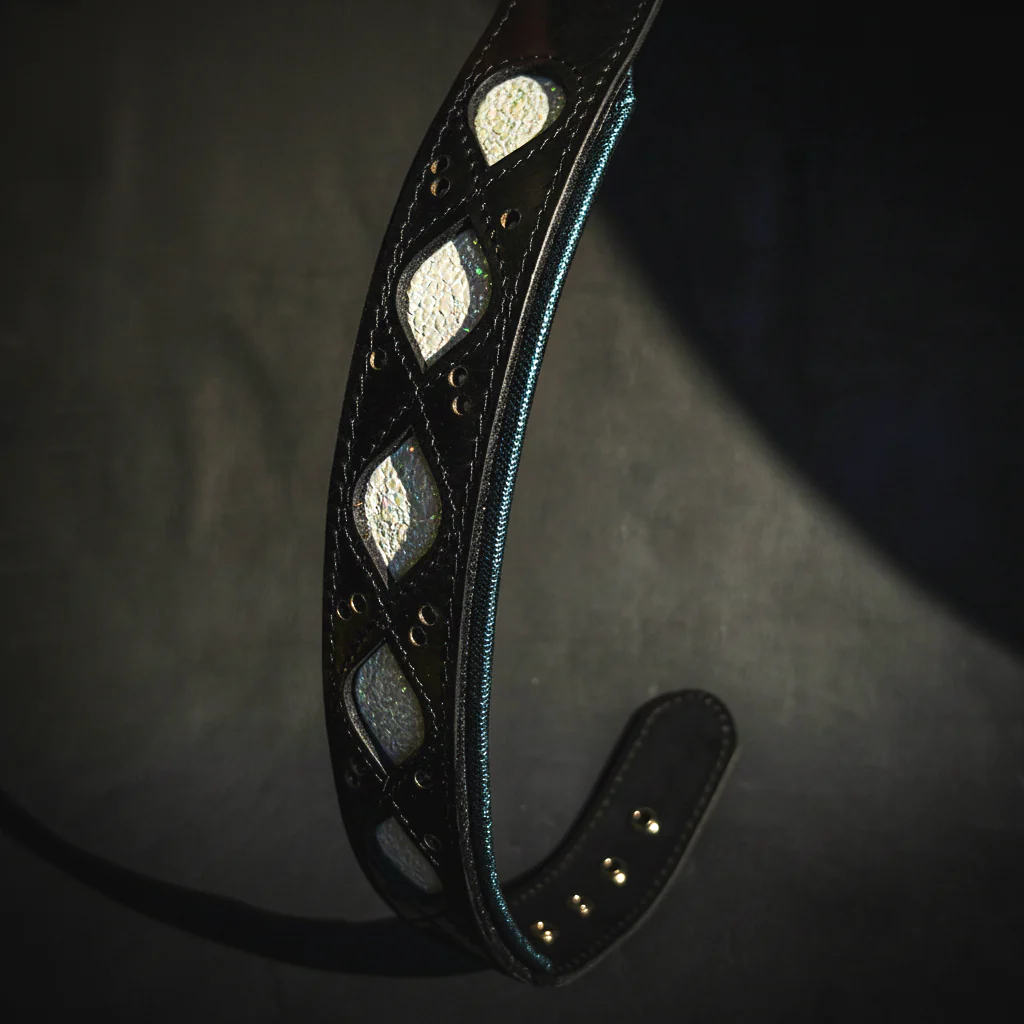The Avatar Collar