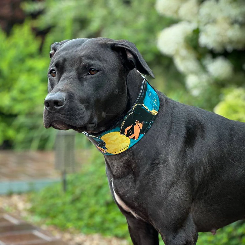 The BCW Limited Collar - Image 4
