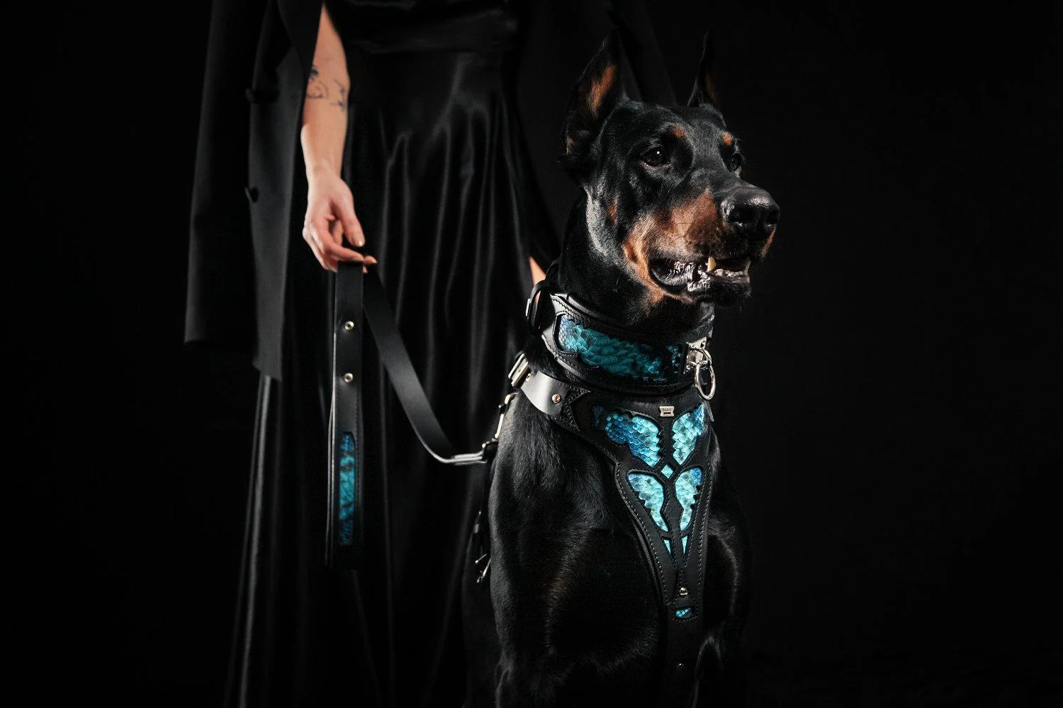 The ''Morelia Python'' leash - Image 6