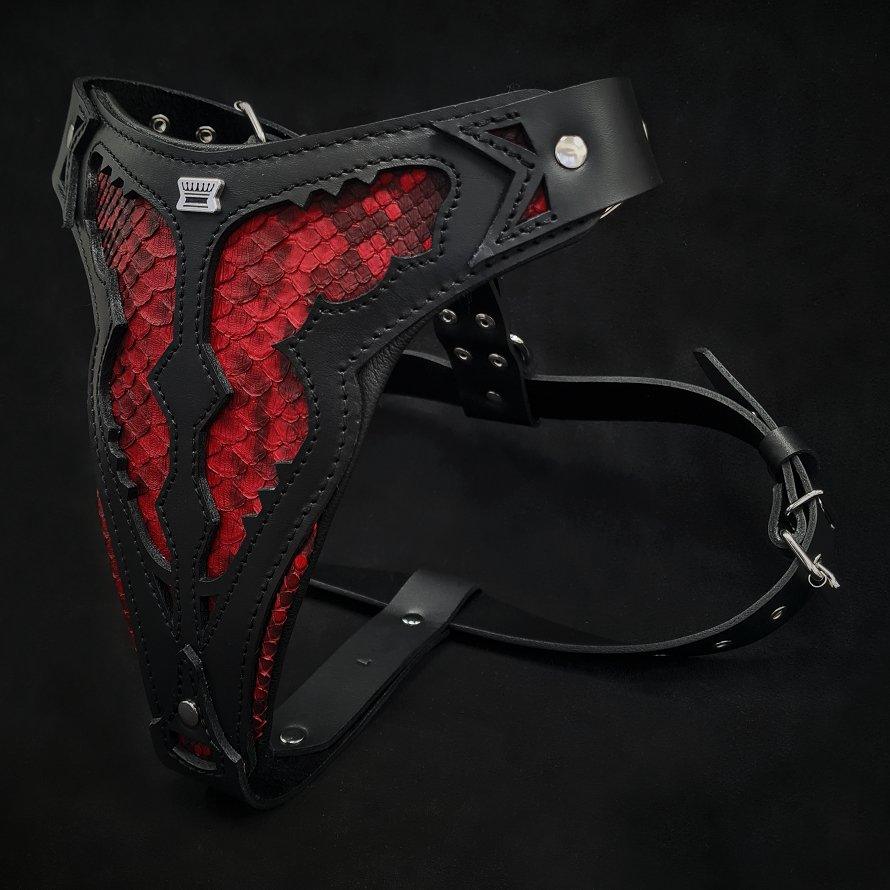 The ''Red Dragon'' harness - Image 2